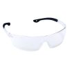 Jackal? Indoor/outdoor Anti-fog Lens, Frosted Clear Temple, Clear Nose Piece