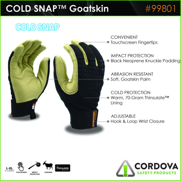 walkaround 99801 Cordova Safety