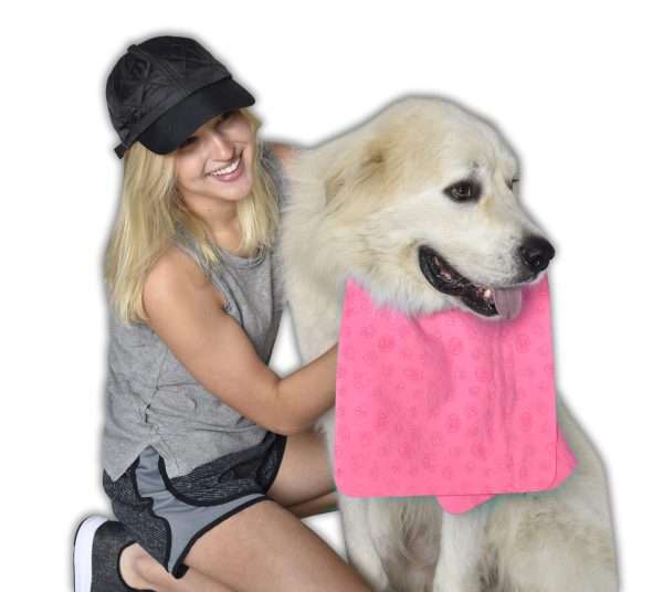 Dog Dayz™, Pet Cooling Towel, Pink: #PCT400