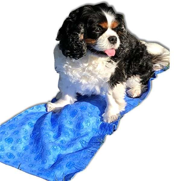 Dog Dayz™, Pet Cooling Towel, Blue: #PCT100 - Image 4
